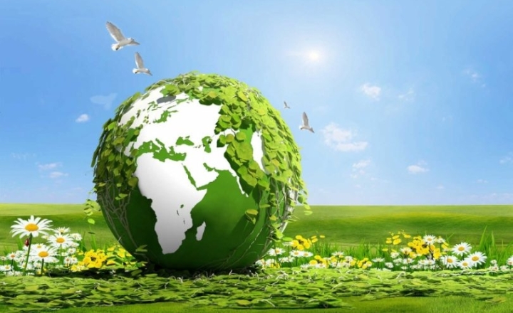 Sivil Toplum Kuruluşlarının Faaliyetleri